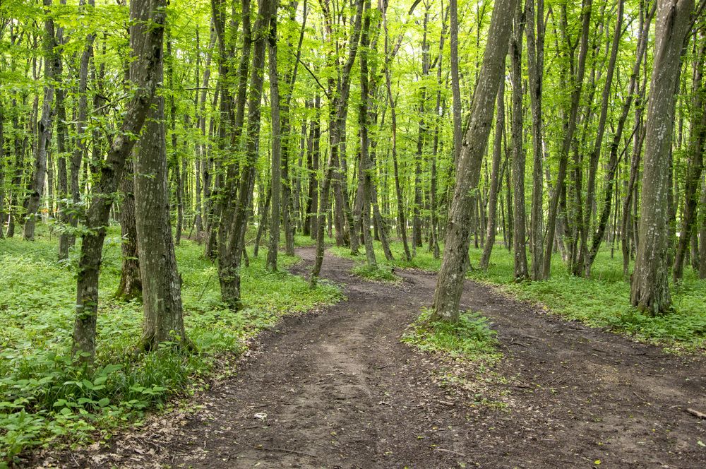 Photograph by Михаил Еремеев