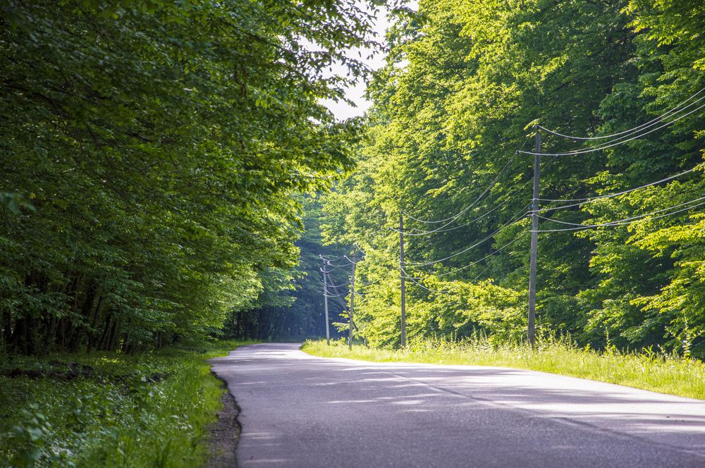 Photograph by Михаил Еремеев