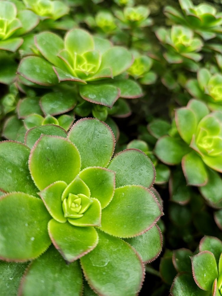 Photograph by Ulises Pintos