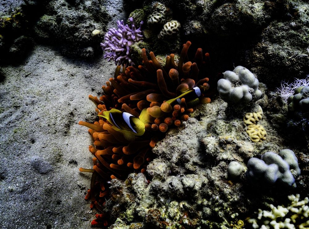 Photograph by Дмитрий Плотников