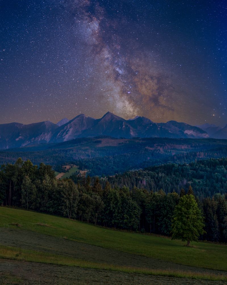 Photograph by Tomasz Urban