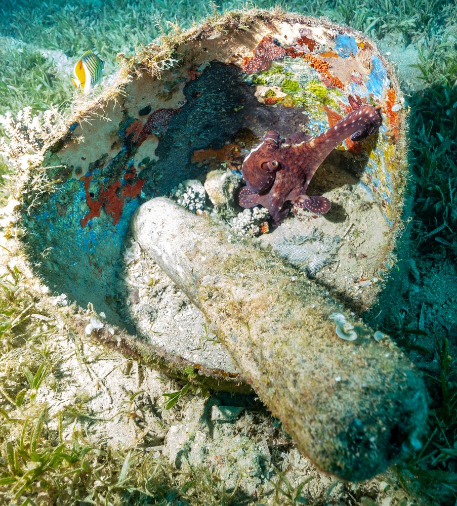 Photograph by Дмитрий Плотников