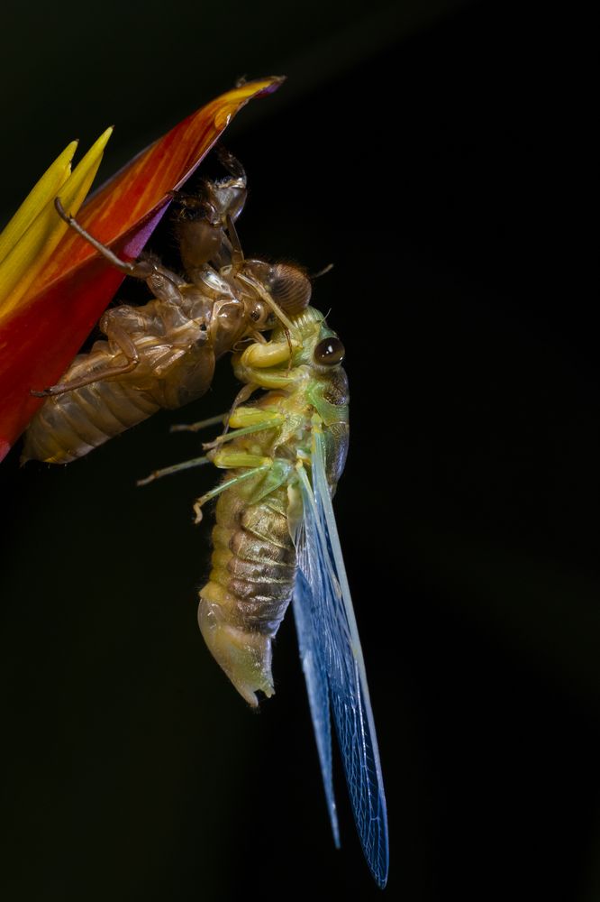 Photograph by khoa nguyễn
