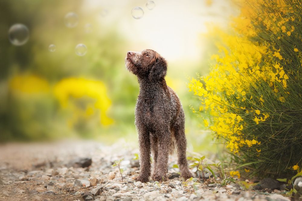 Photograph by Андрианова Ирина