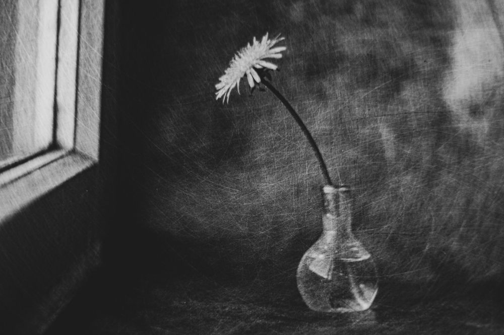 Photograph by Виталий Маслов