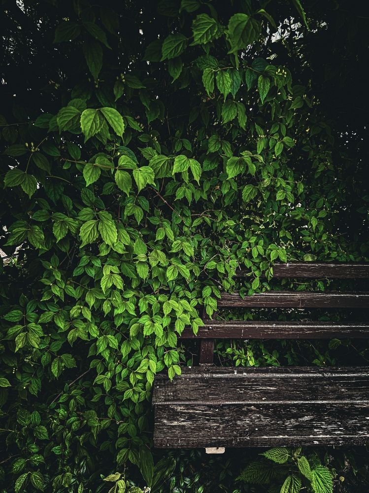 Photograph by Анна Пигулевская