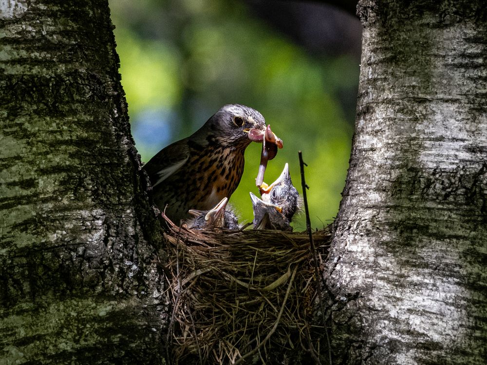 Photograph by Игорь Криулин