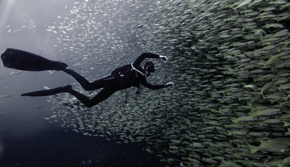 Photograph by Игорь Чернышов