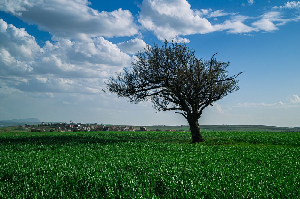 Photograph by sadouni zakaria