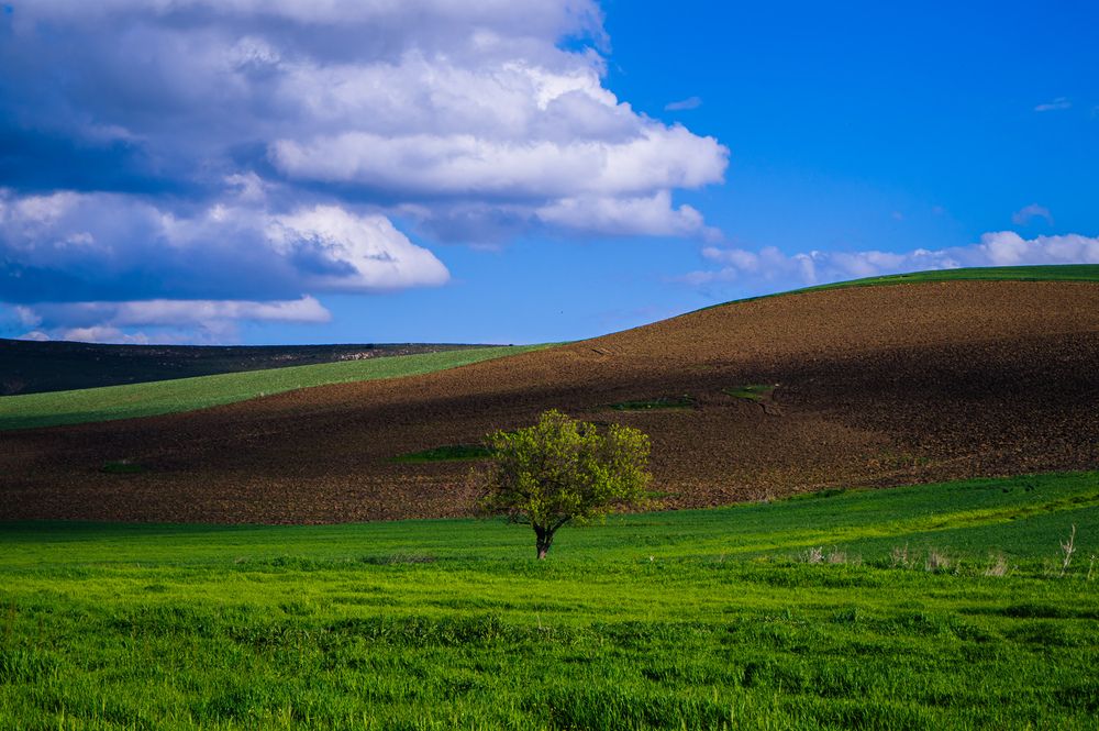 Photograph by sadouni zakaria