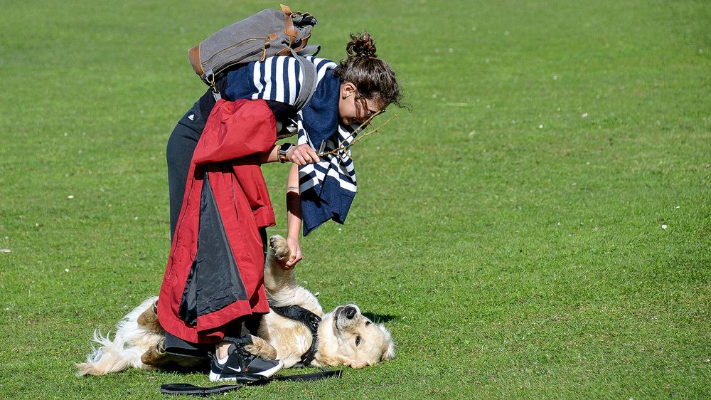 Вставай, лентяй!