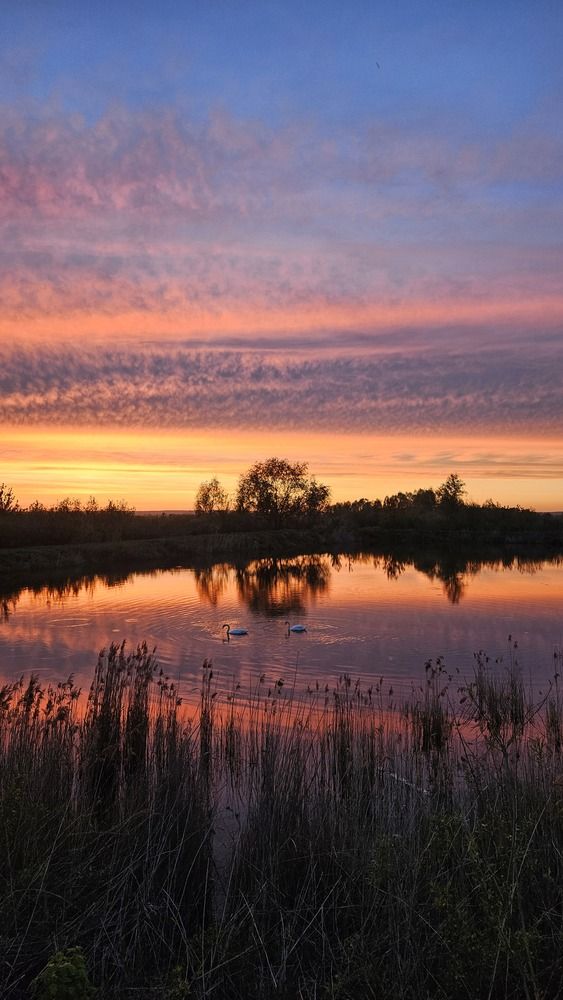 Photograph by Дмитрий