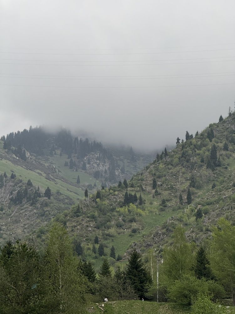 Photograph by Юлия Ханналайнен