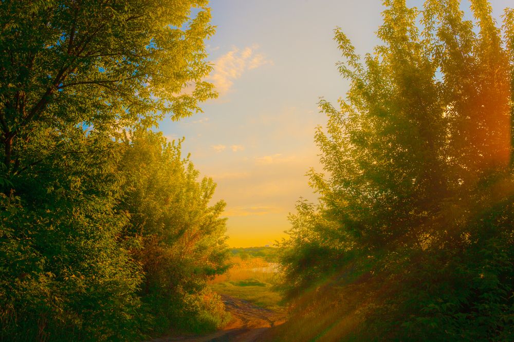 Photograph by Валентина Михайлова