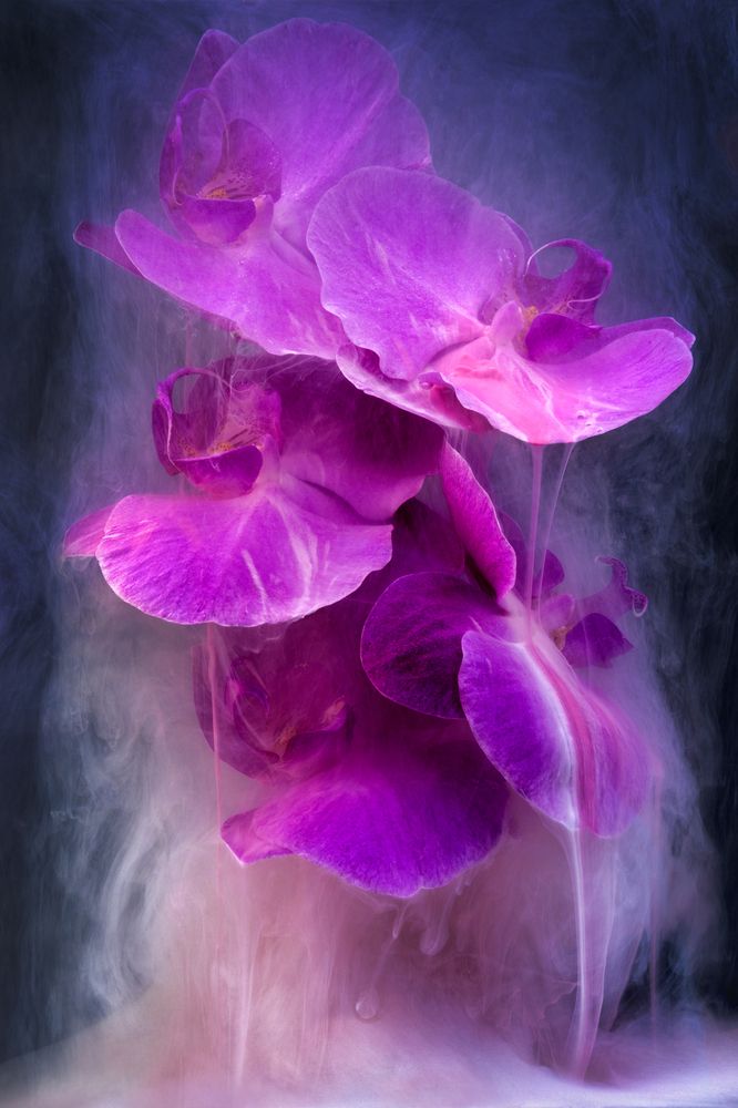 Photograph by Inga Ivanova