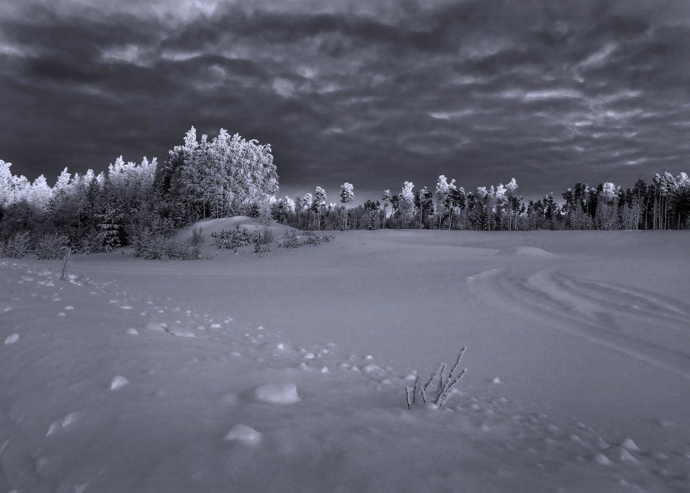 Декабрьская