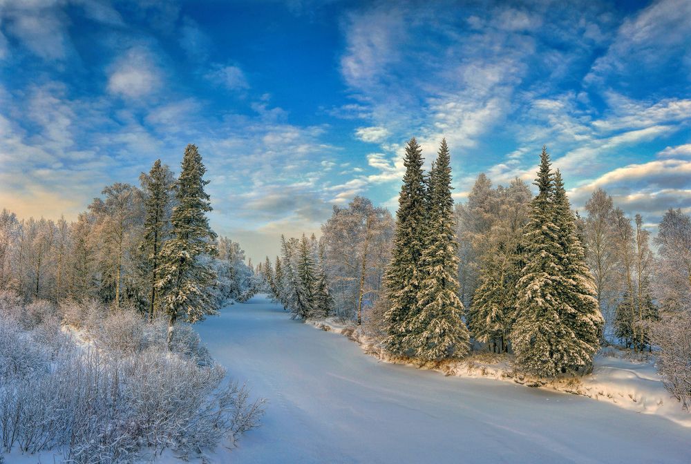 Таежная речка