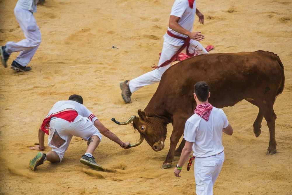 безумству  храбрых  поем  мы  песню