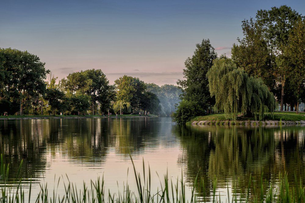 Райский уголок.