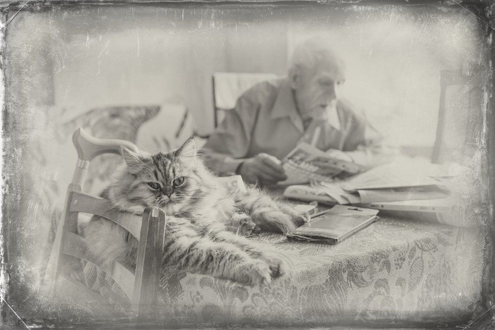 Домашний уют