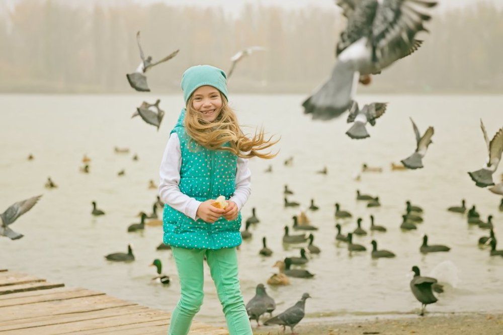 Девочка и птицы