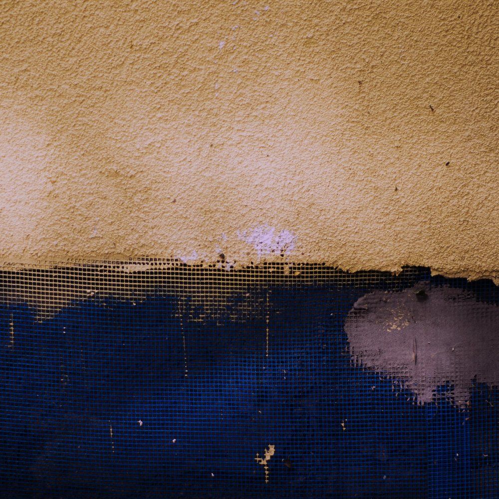 Серый кит смотрит на закатное солнце