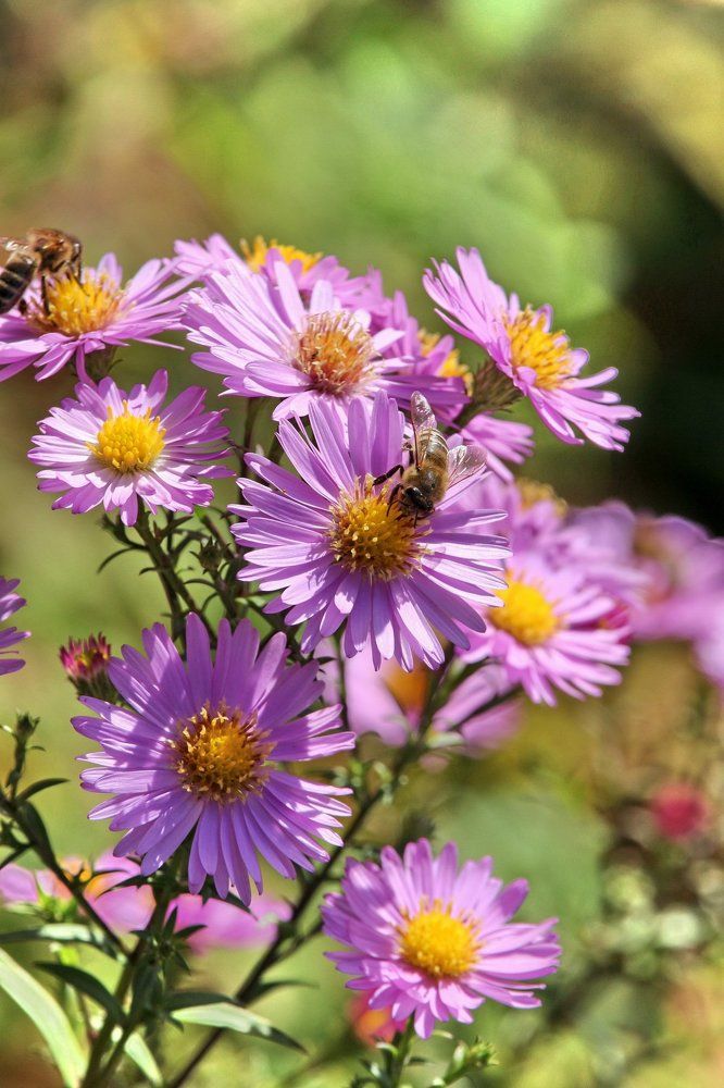 Photograph by Сергей Пискарёв