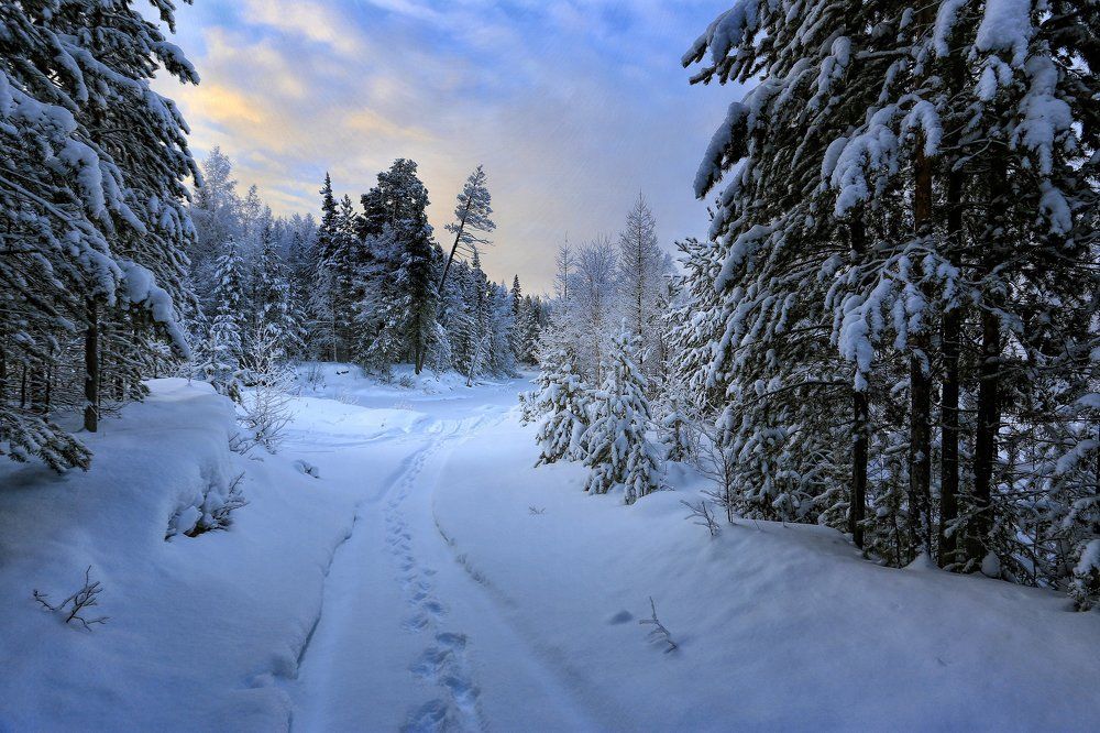 По зимней тропинке