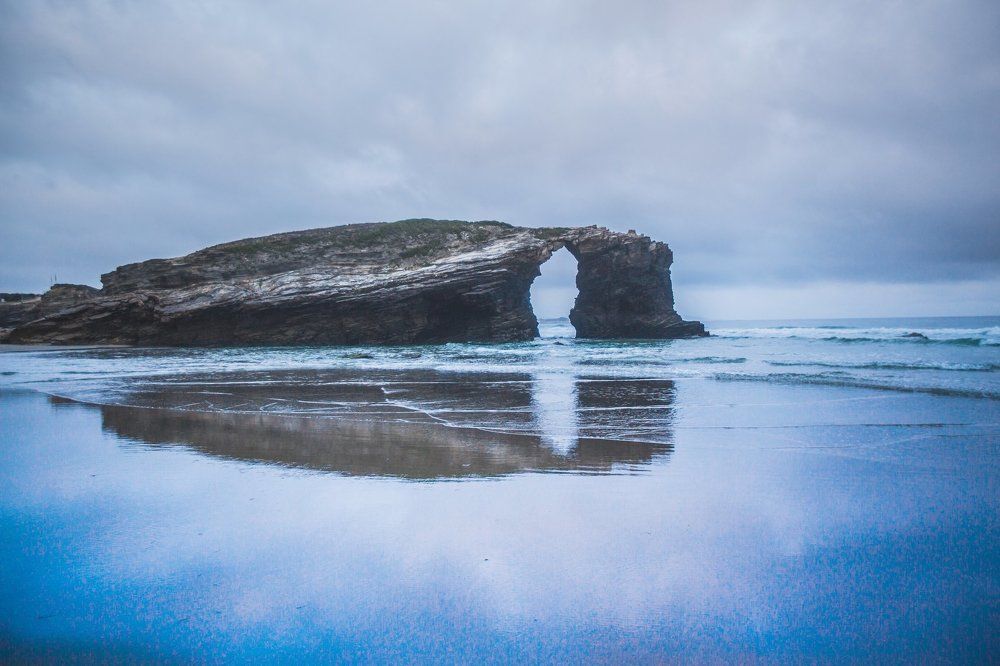 творение   природы