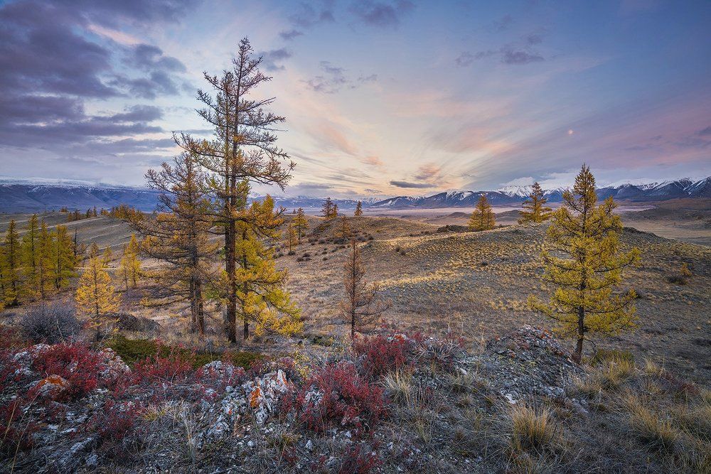 Осенний Курай