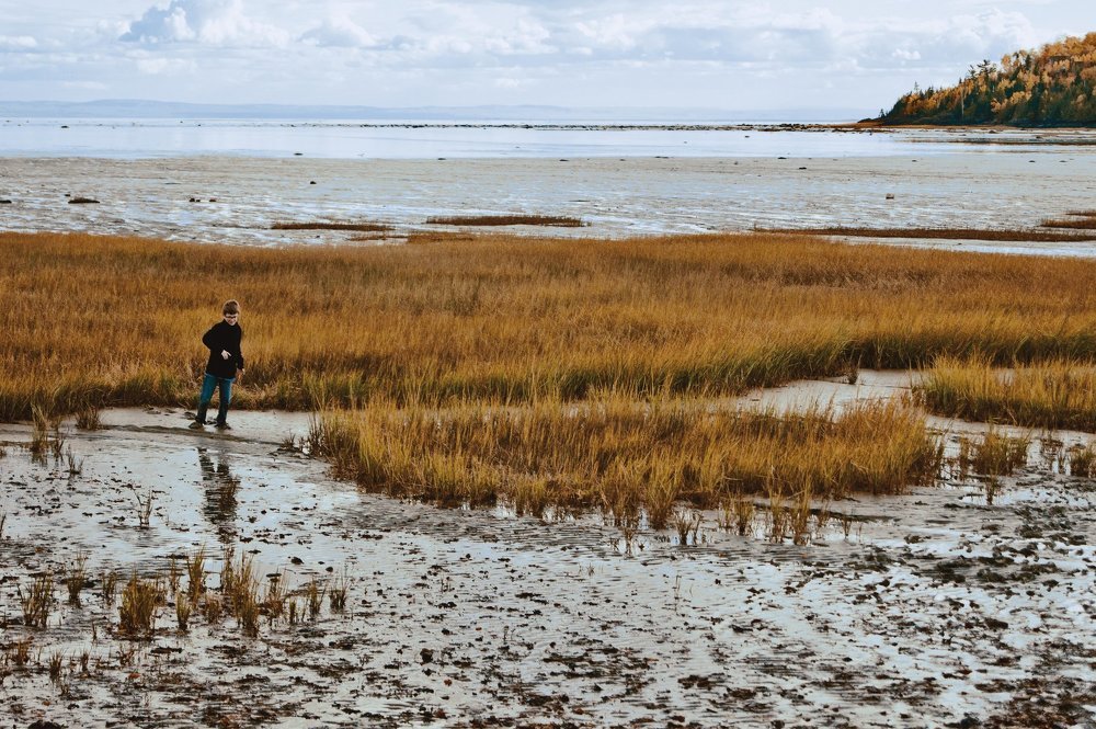 Безудержное любопытство