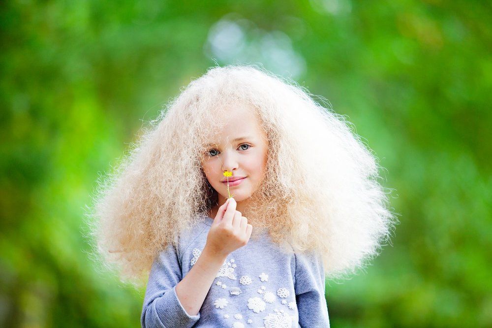 Одуванчики