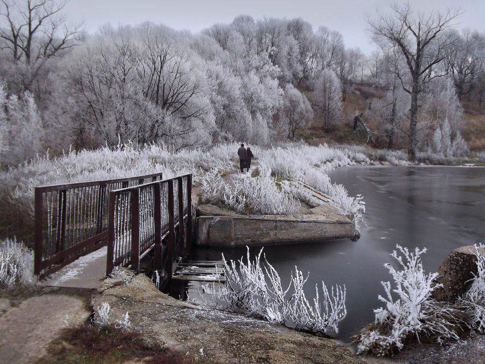 мостик в зиму..
