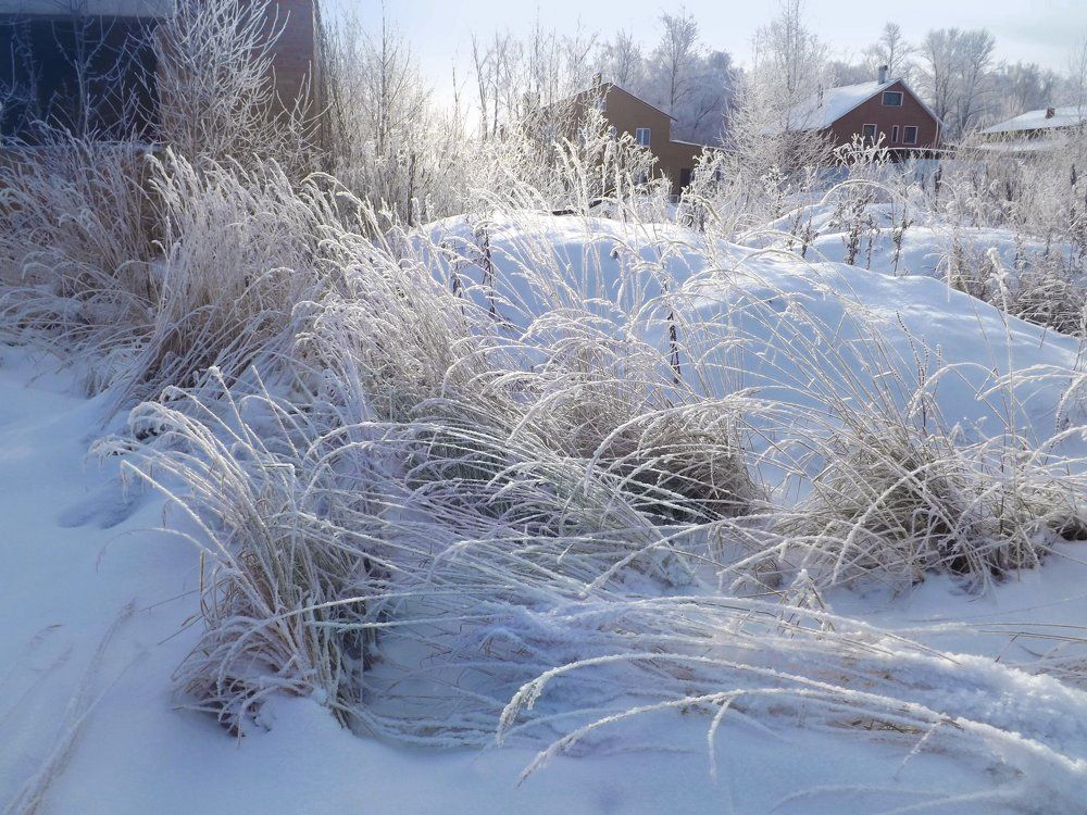 в кружэвных росчерках