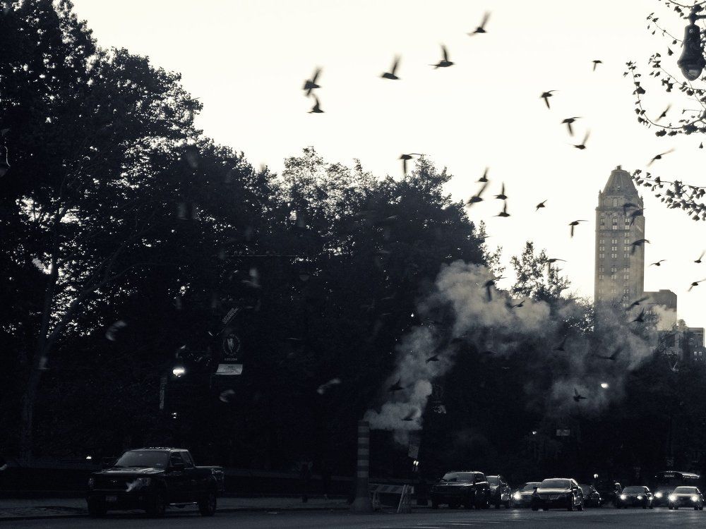 Дыхание Нью Йорка