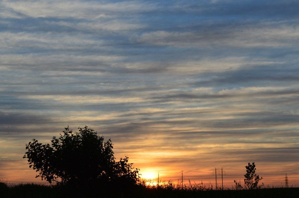 Картина маслом.