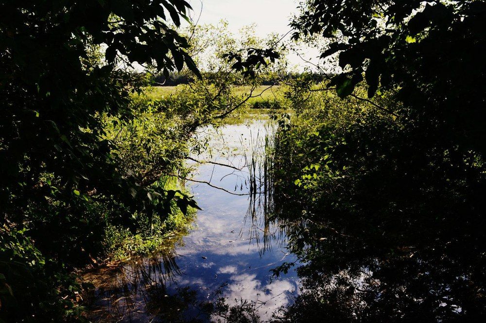 Речное небо.