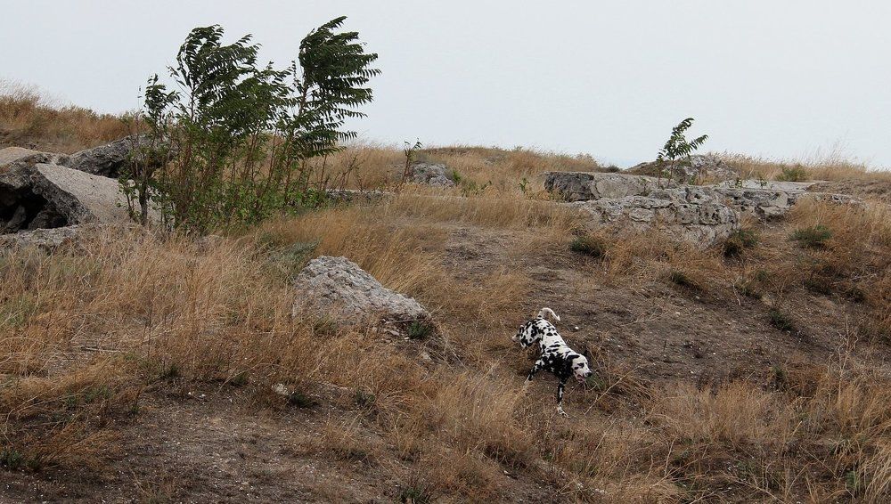 Крым. Ветер.