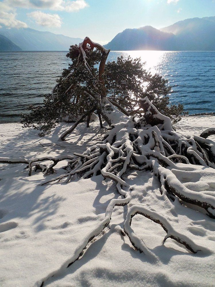 Жажда жизни...