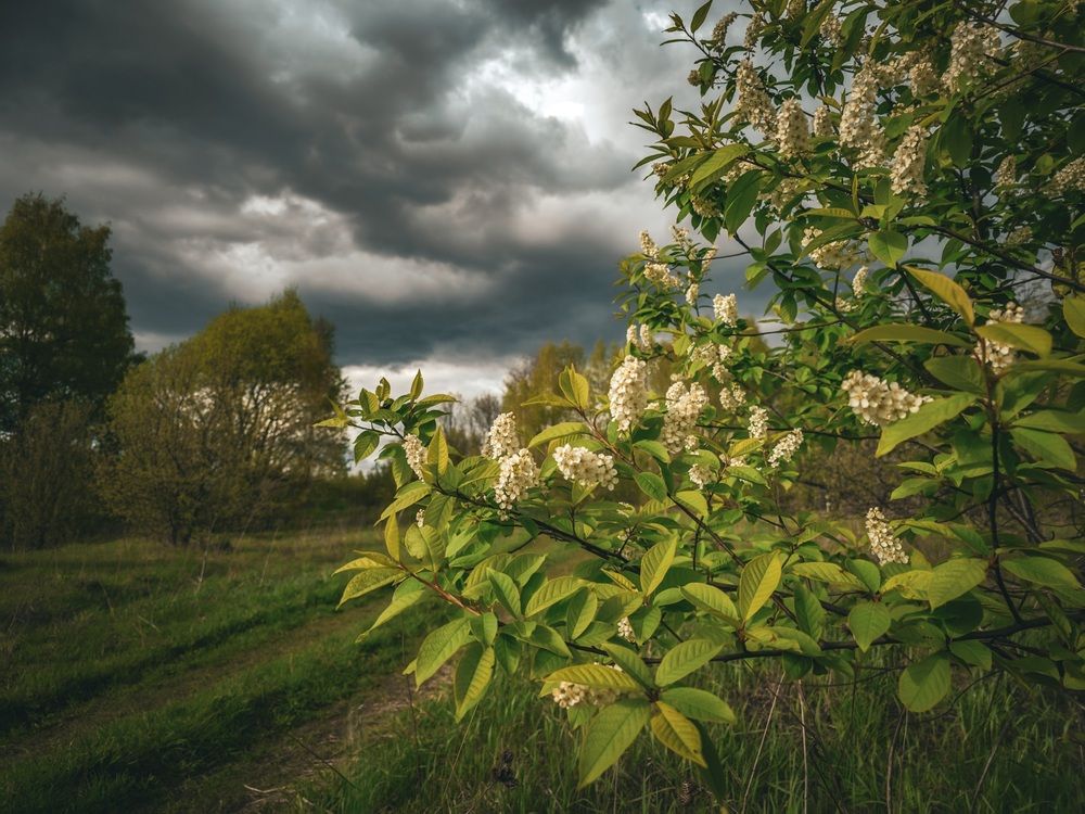 Photograph by Кирилл Сидоров