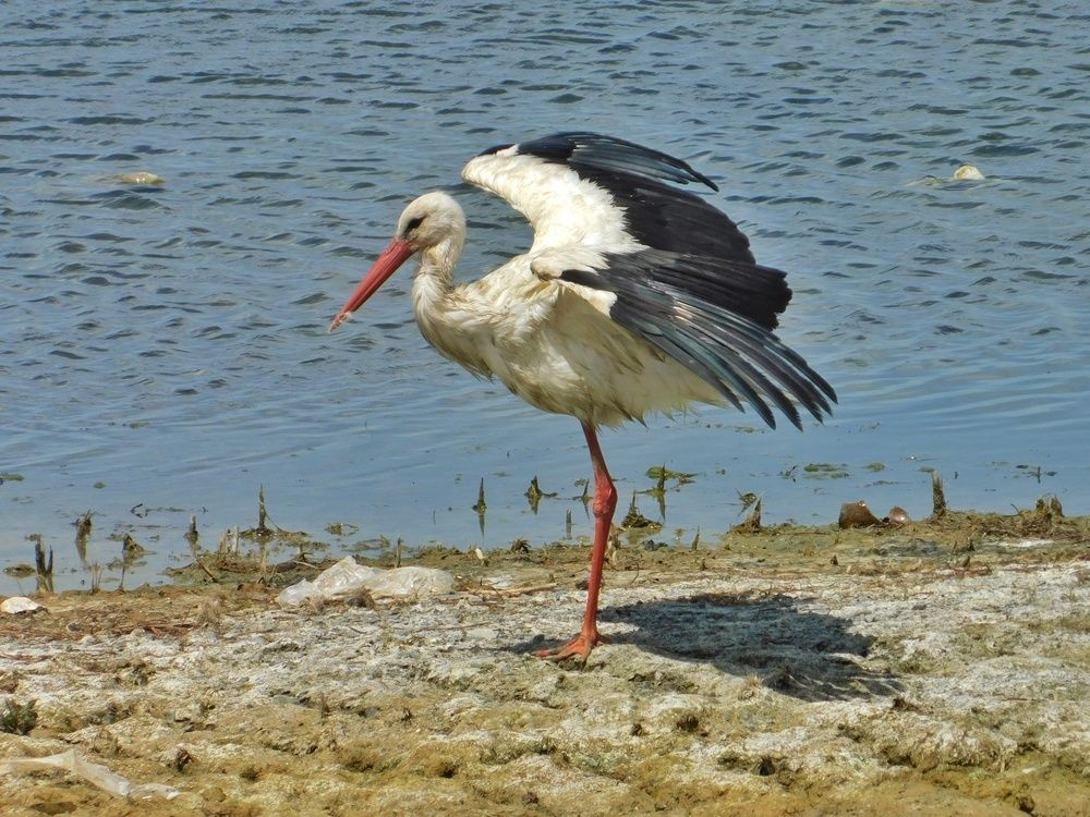 Photograph by Татьяна Колчанова