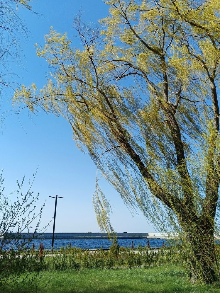Photograph by Юрий Звонарев
