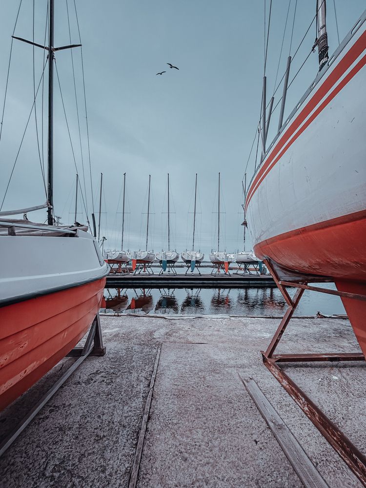 Птицы и яхты / Birds and Yachts