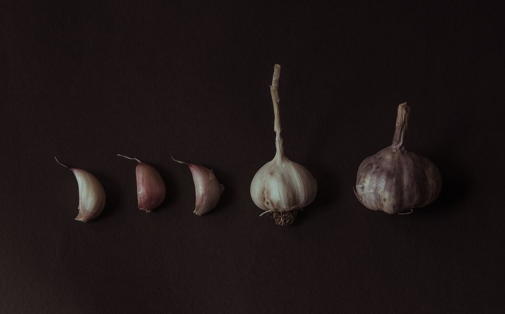 Photograph by Елена Федорова