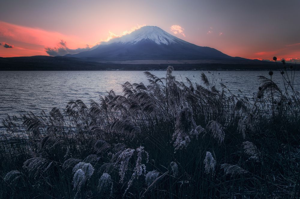 Photograph by Camacho Anto