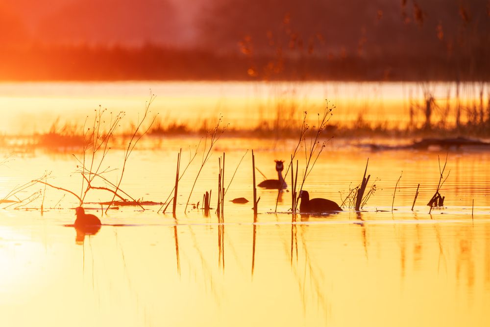 Photograph by Владимир Никоноров