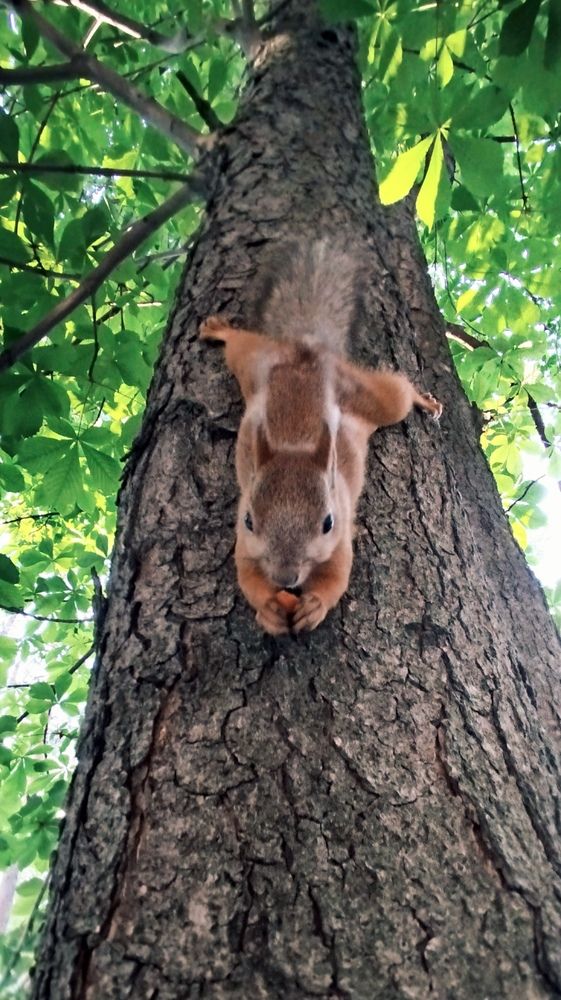 Photograph by Olga Александрова