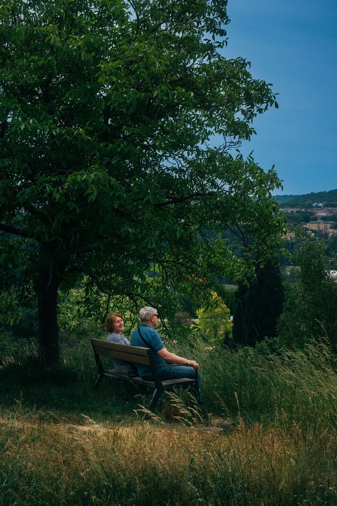 Фотография автора Talal Abodeshish