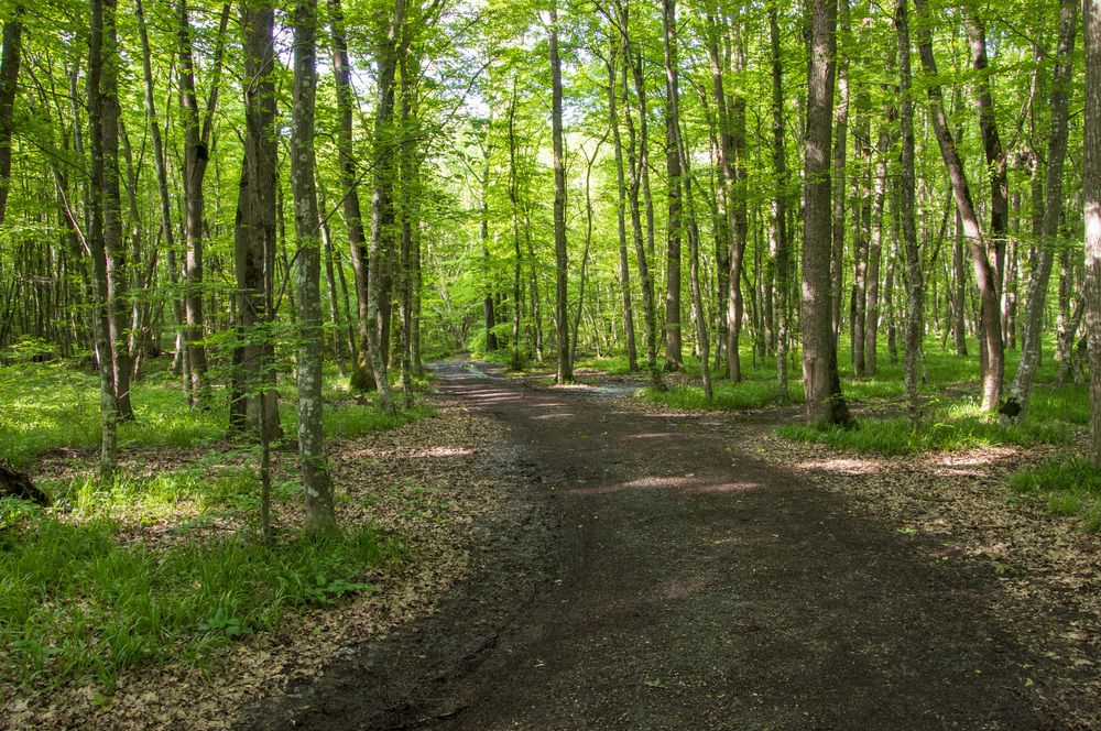 Photograph by Михаил Еремеев