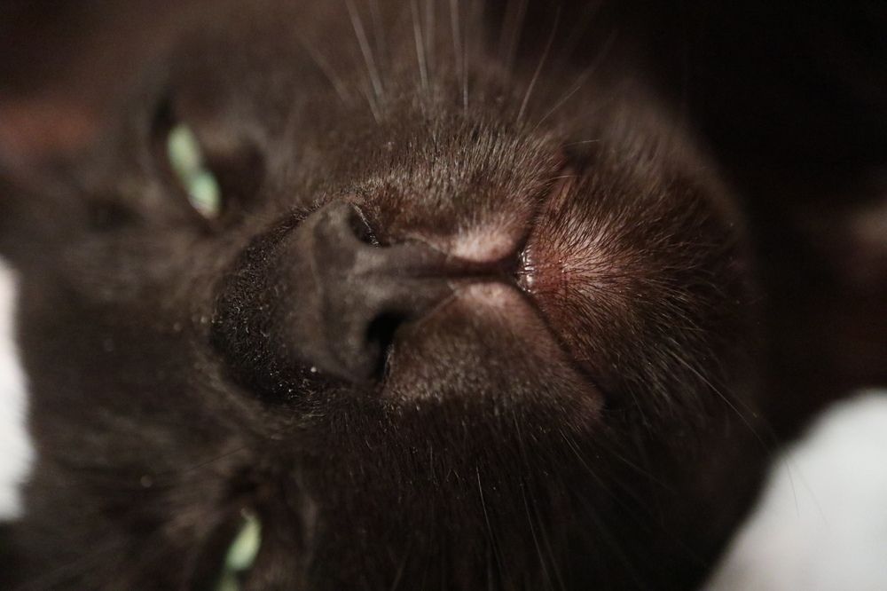 Фотография автора Irina